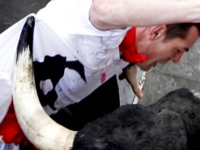 bull