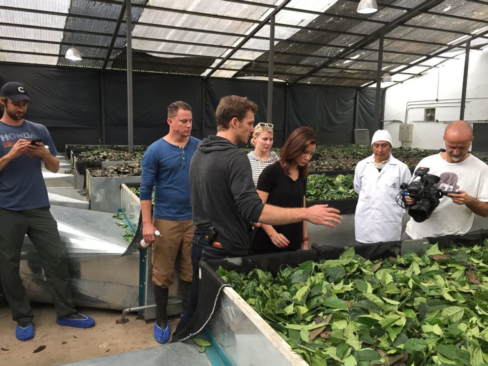 Runa co-founder Tyler Gage and Channing Tatum show ABC's Rebecca Jarvis inside the Runa factory in the Amazon jungle during an interview with ABC News "Nightline."