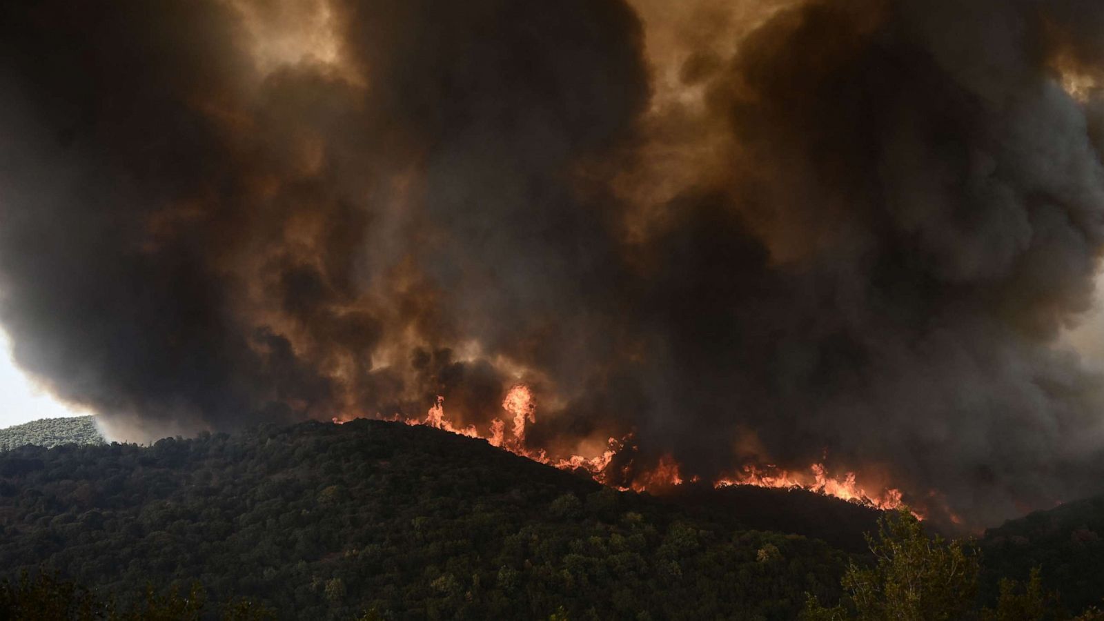 Wildfires raging in Europe: What, where and why?, Explainer News