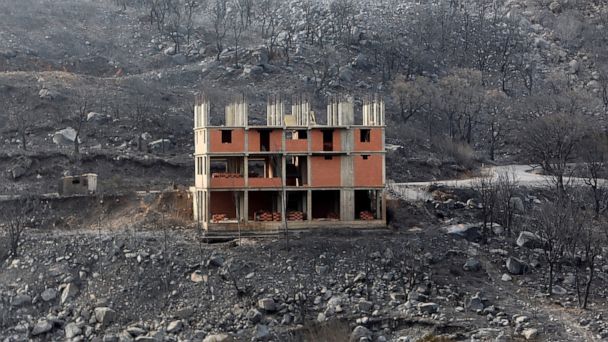 Dozens Dead, Hundreds Evacuated As Wildfires Rage In Algeria - ABC News