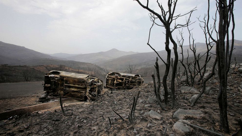 PHOTO: Burnt trees and vehicles are pictured in the aftermath of a wildfire in Bejaia, Algeria, July 25, 2023.