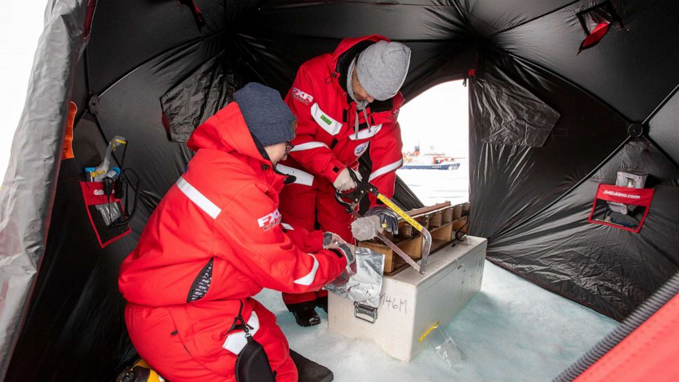 PHOTO: Dr. Allison Fong uses a saw to section off ice core samples in a tent in the Arctic.
