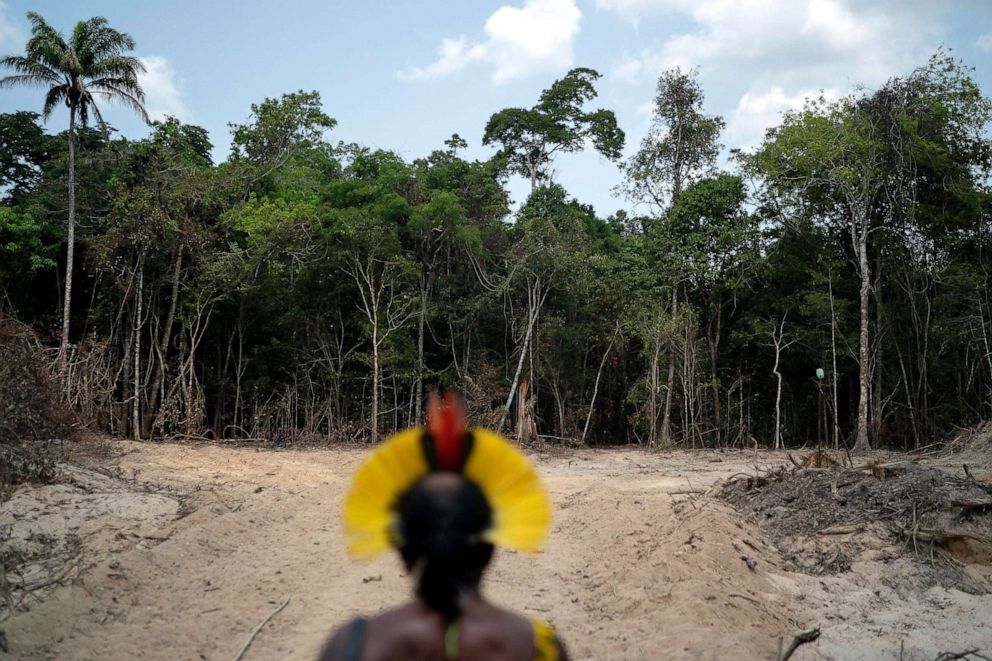 PHOTO: Krimej Indigenous Chief Kadjyre Kayapo looks out at a path created by loggers on the border between the Biological Reserve Serra do Cachimbo and Menkragnotire indigenous lands in Altamira, Para state, Brazil, Aug. 31, 2019.