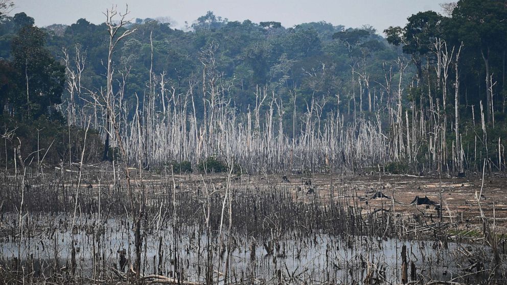 PHOTO: A cleared area of forest in the surroundings of Porto Velho, Rondonia State, in the Amazon basin in west-central Brazil, taken on Aug. 24, 2019.