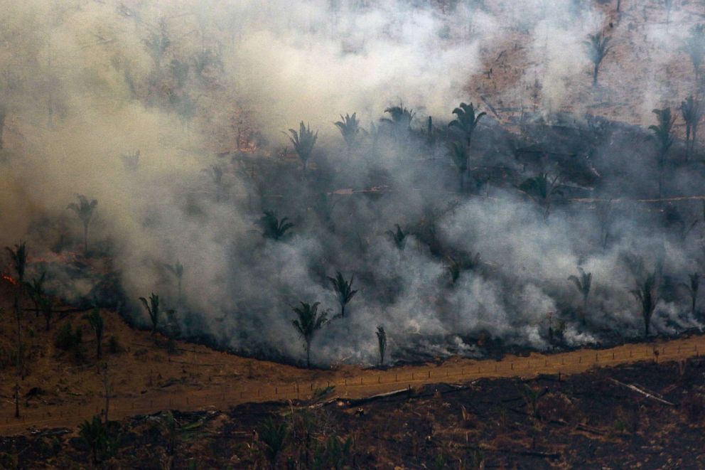 PHOTO: An aerial view shows smoke billowing from a patch of forest being cleared with fire in the Amazon basin in northwestern Brazil, on Aug. 24, 2019.