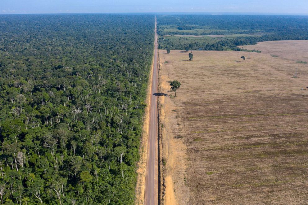 PHOTO: Highway BR-163 stretches between the Tapajos National Forest, left, and a soy field in Belterra, Brazil, Nov. 25, 2019.