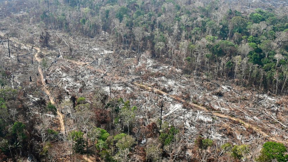 PHOTO: Aerial view of an area of Amazon rainforest deforested by illegal fire in the municipality of Labrea, Amazonas State, Brazil, taken on August 20, 2024.