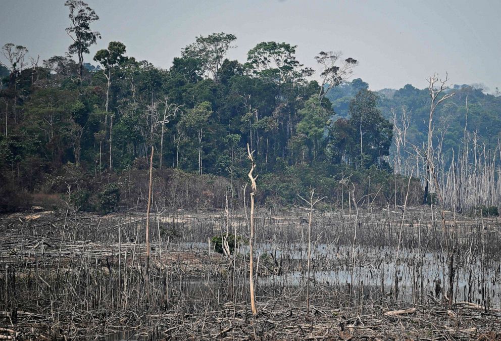 PHOTO: This Aug. 24, 2019, file photo shows a cleared area of forest in the surroundings of Porto Velho, Rondonia State, in the Amazon basin in west-central Brazil.