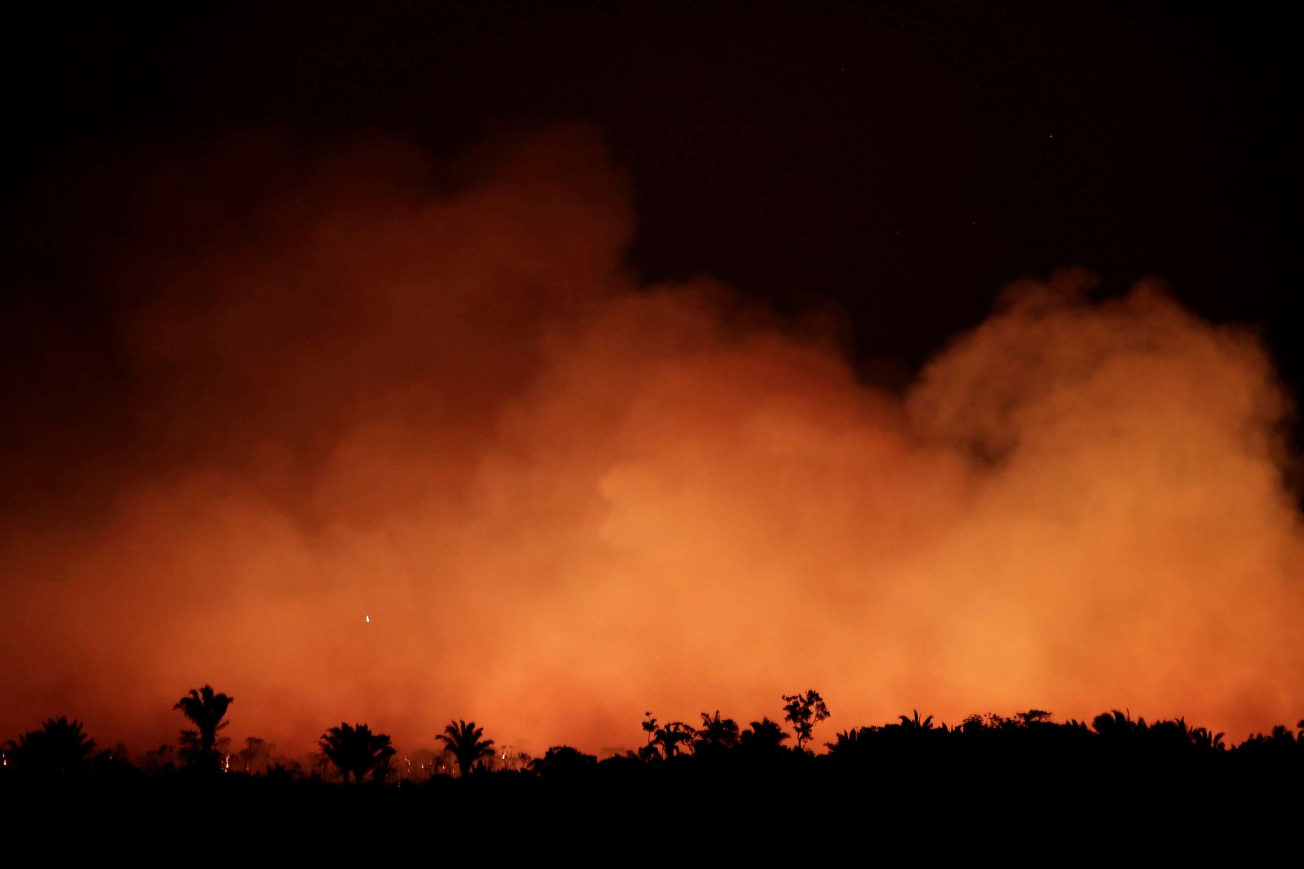 Expansive fires in the  rainforest are 'truly heart-wrenching,'  NatGeo explorer says - ABC News