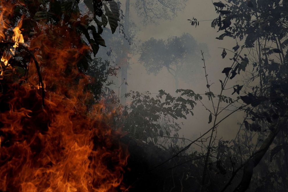 PHOTO: A fire burns a tract of Amazon jungle as it is cleared by loggers and farmers near Porto Velho, Brazil, August 27, 2019.