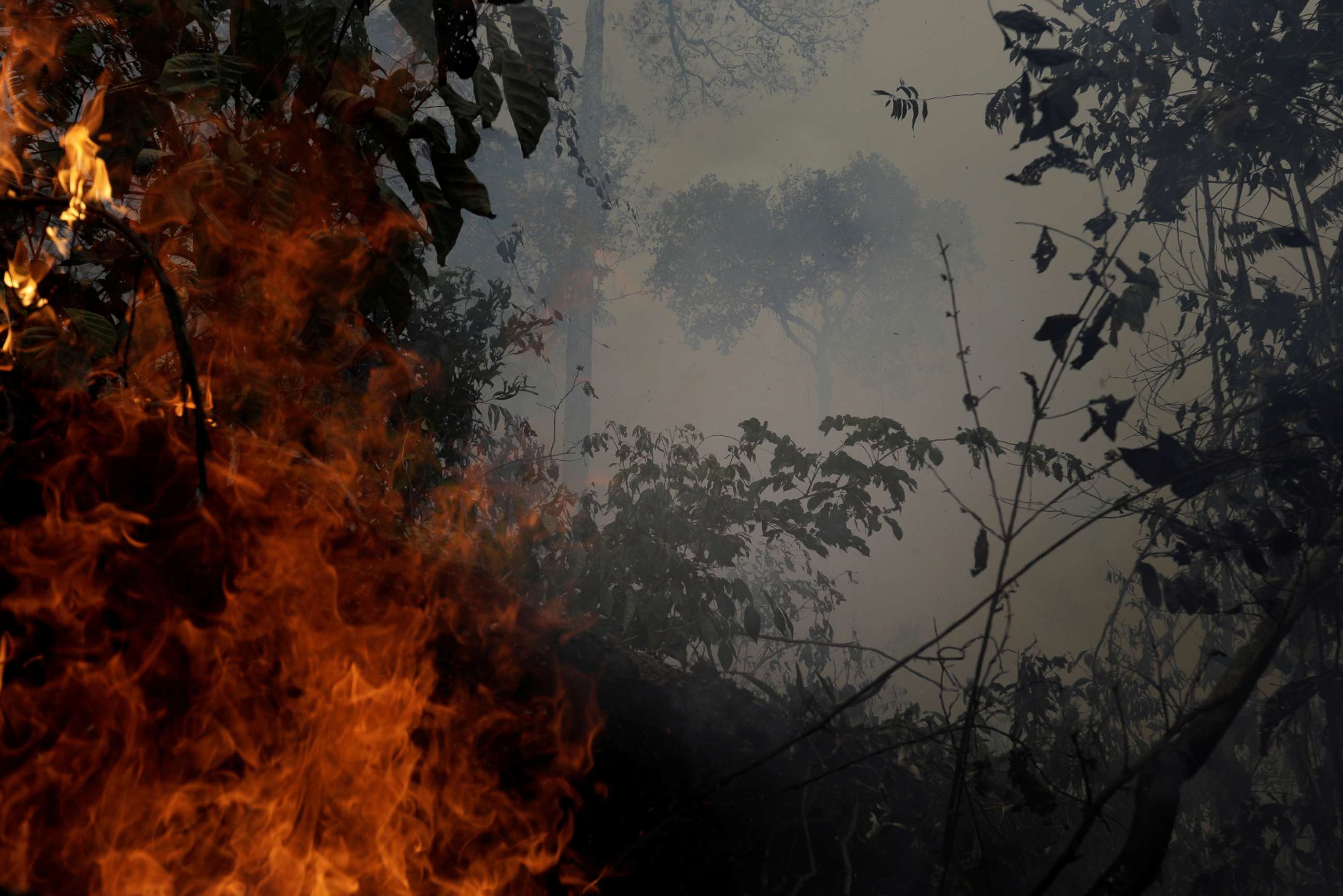 H&M suspende importação de couro do Brasil devido aos incêndios na Amazónia  - Mundo - Correio da Manhã