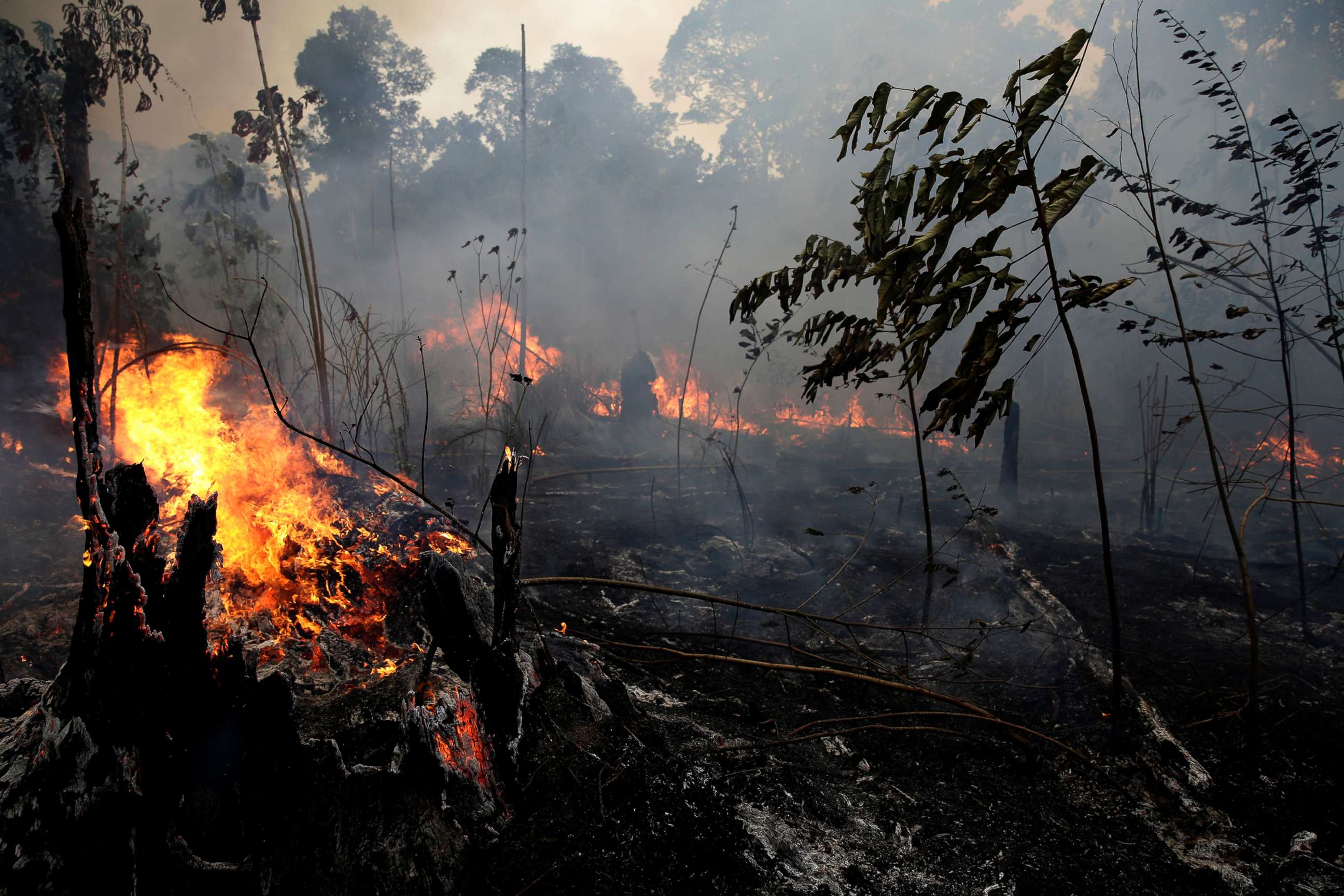 PHOTO: A fire burns trees and brush along the road to Jacunda National Forest, near the city of Porto Velho in the Vila Nova Samuel region which is part of Brazil's Amazon, Monday, Aug. 26, 2019.