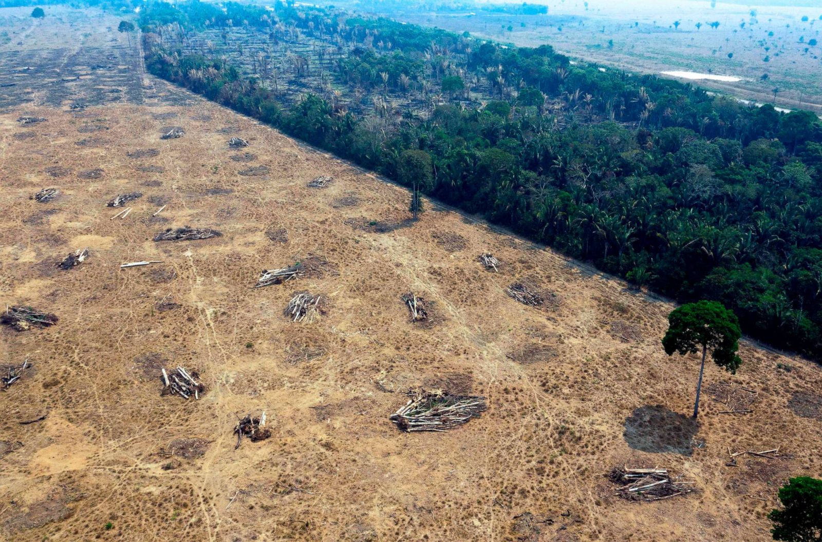 PHOTOS: The burning Amazon rainforest Photos | Image #11 - ABC News