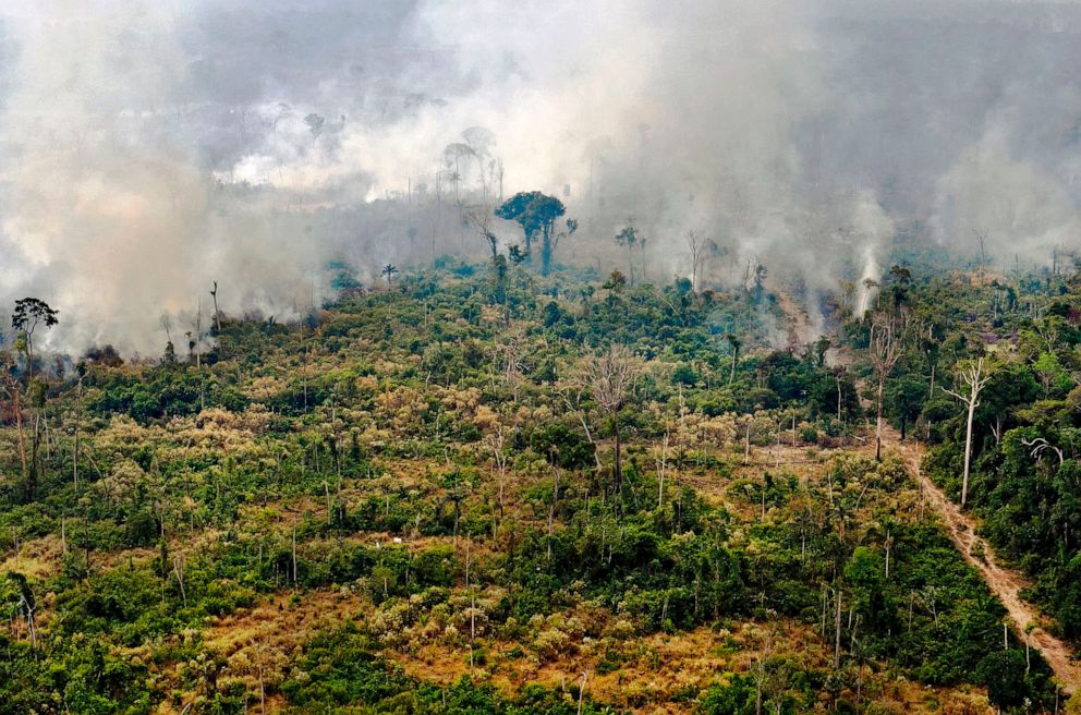 PHOTO: View of a burnt area in the Amazon rainforest, near Porto Velho, Rondonia state, Brazil, Aug. 25, 2019.