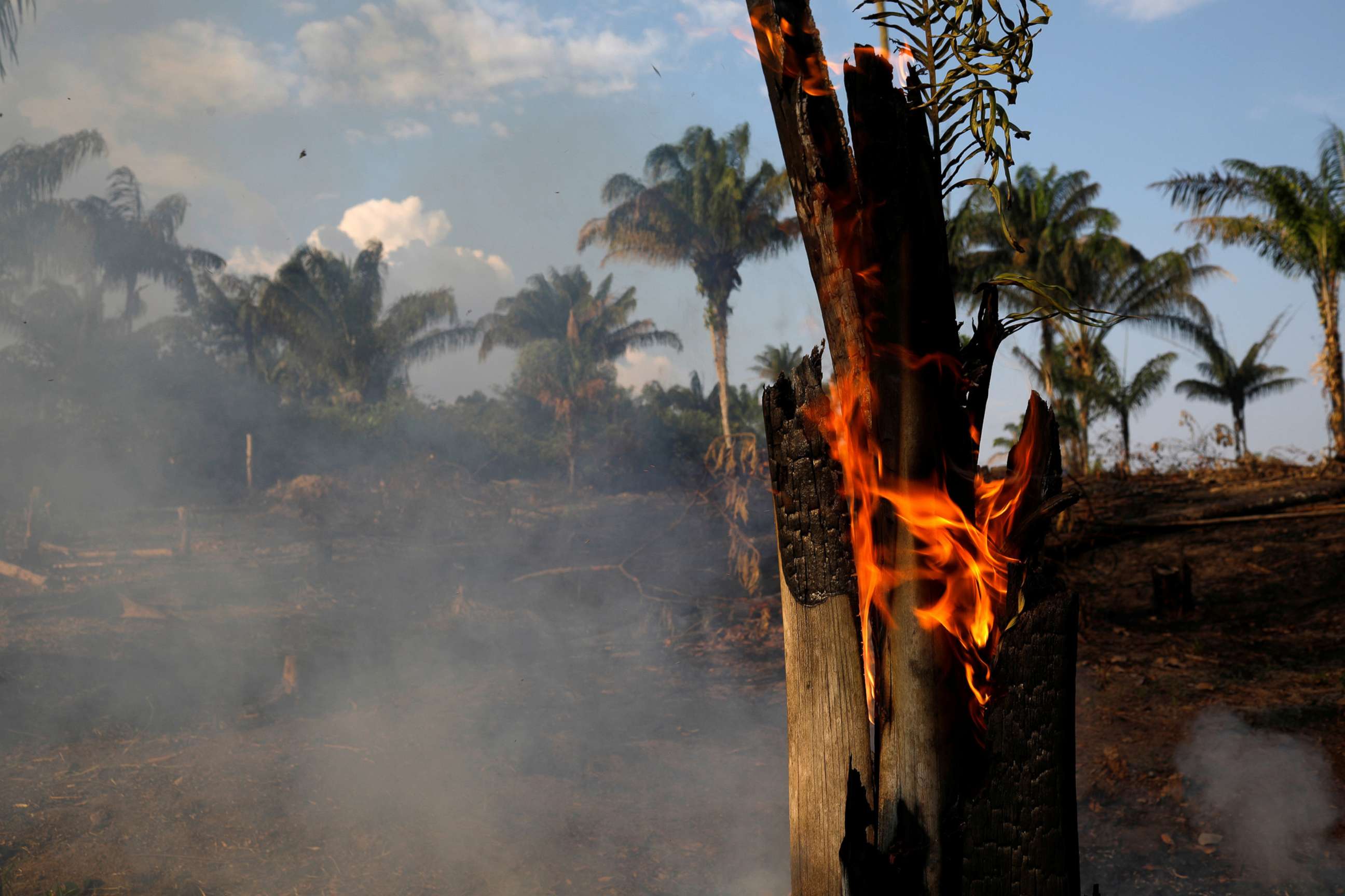 PHOTO: A tract of Amazon jungle is seen burning as it is being cleared by loggers and farmers in Iranduba, Amazonas state, Brazil August 20, 2019.