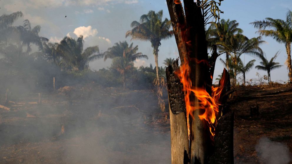 PHOTO: A tract of Amazon jungle is seen burning as it is being cleared by loggers and farmers in Iranduba, Amazonas state, Brazil August 20, 2019.