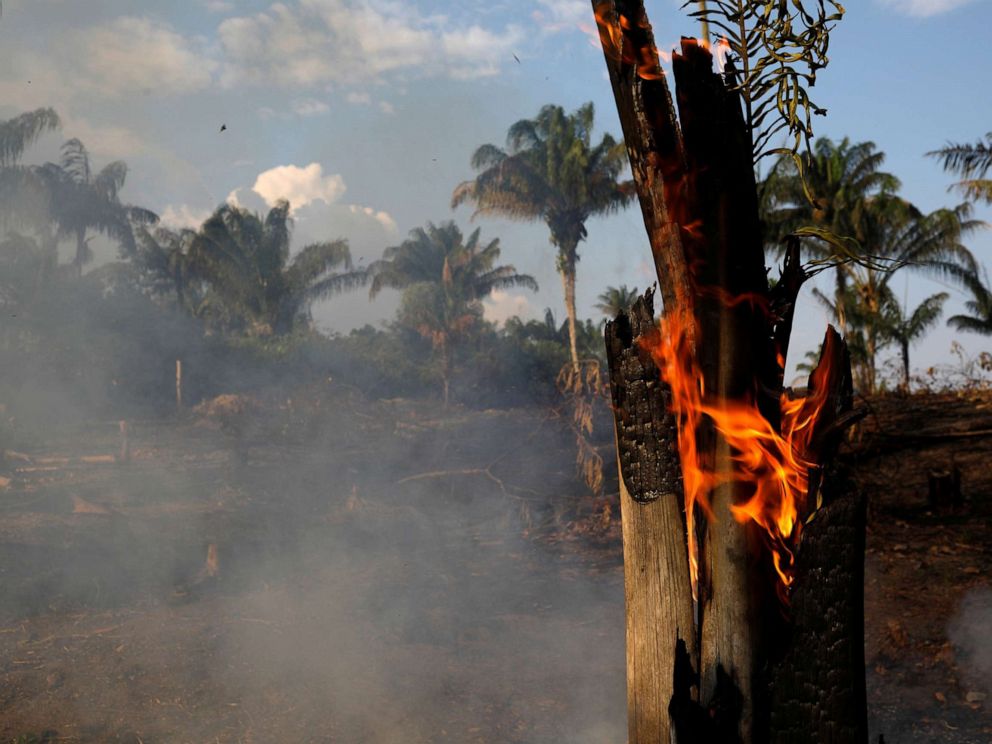 PHOTO: A tract of Amazon jungle is seen burning as it is being cleared by loggers and farmers in Iranduba, Amazonas state, Brazil August 20, 2019.