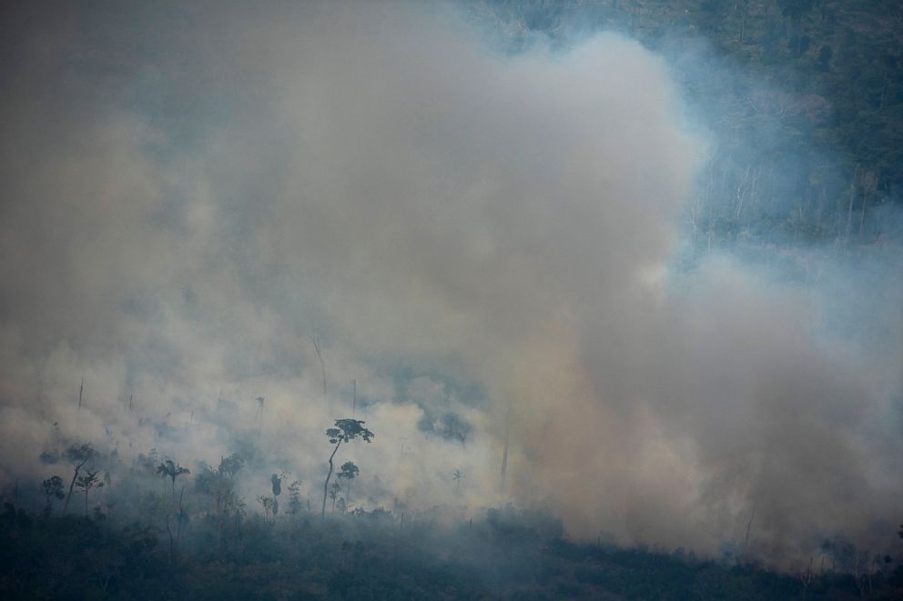 PHOTO: In this Friday, Aug. 23, 2019 photo, fire consumes an area near Porto Velho, Brazil.