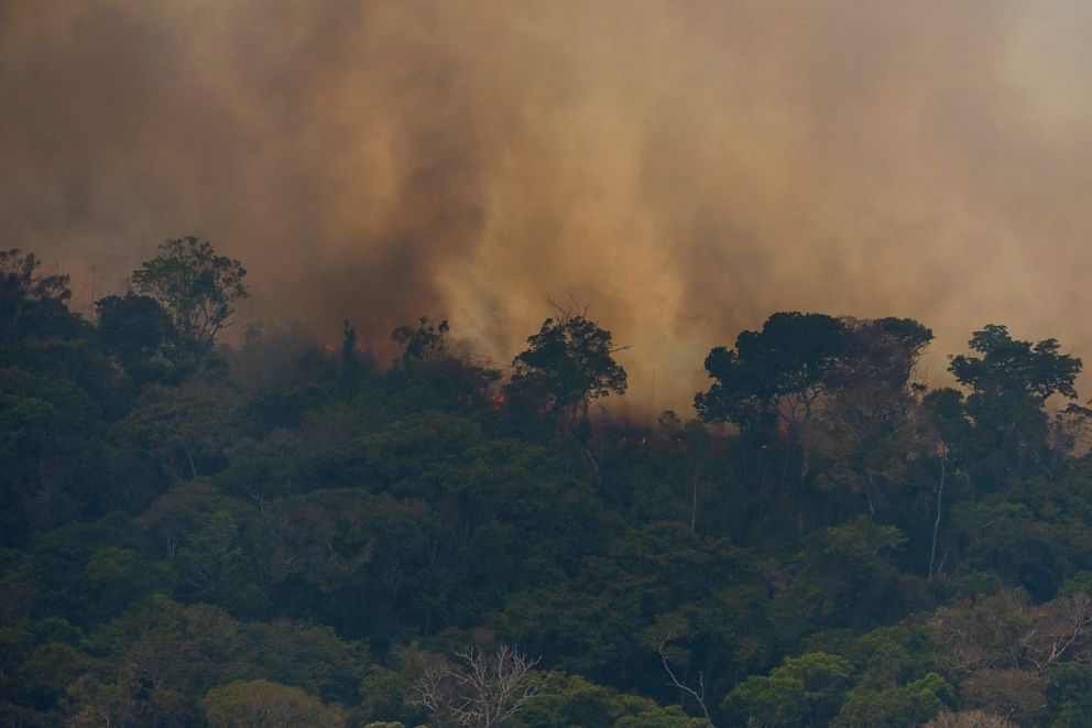 PHOTO: Fire consumes the jungle near Porto Velho, Brazil, Friday, Aug. 23, 2019. Brazilian state experts have reported a record of nearly 77,000 wildfires across the country so far this year, up 85% over the same period in 2018.