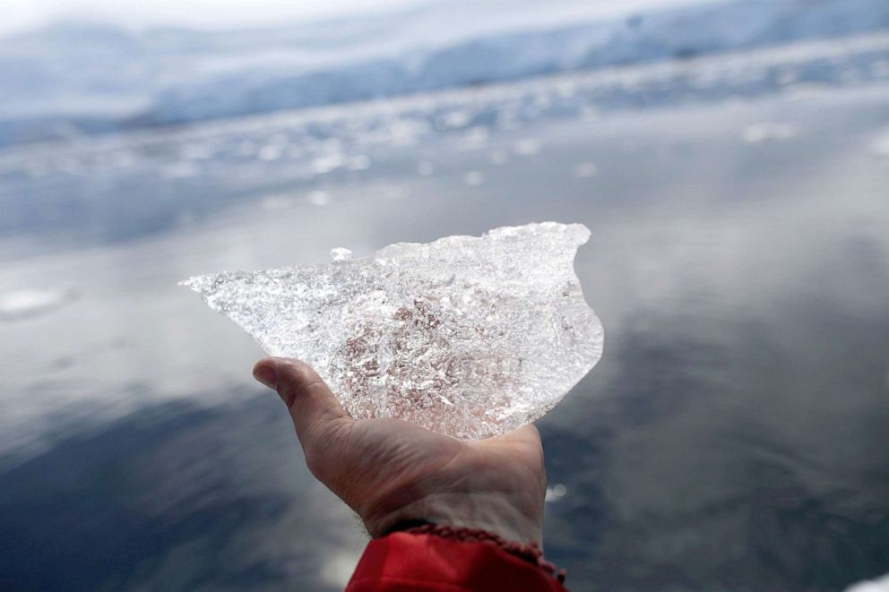 PHOTO: A small block of ice is displayed for a photo, close to Fournier Bay, Antarctica, Feb. 3, 2020.