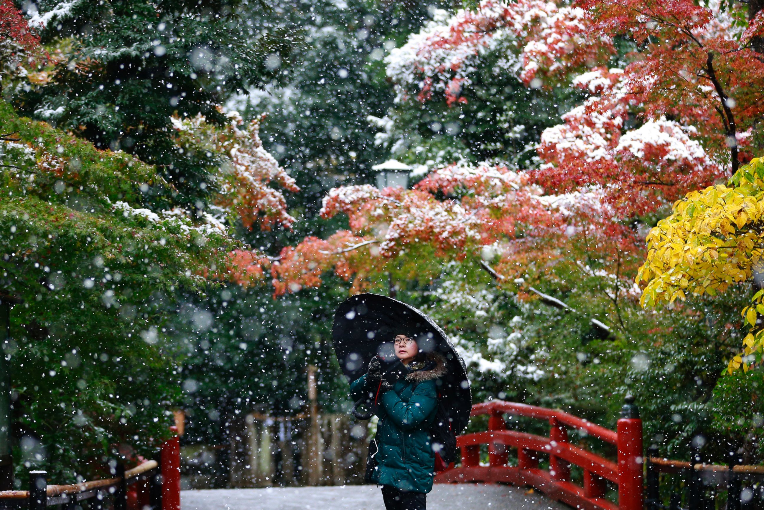 Любование снегом в Японии
