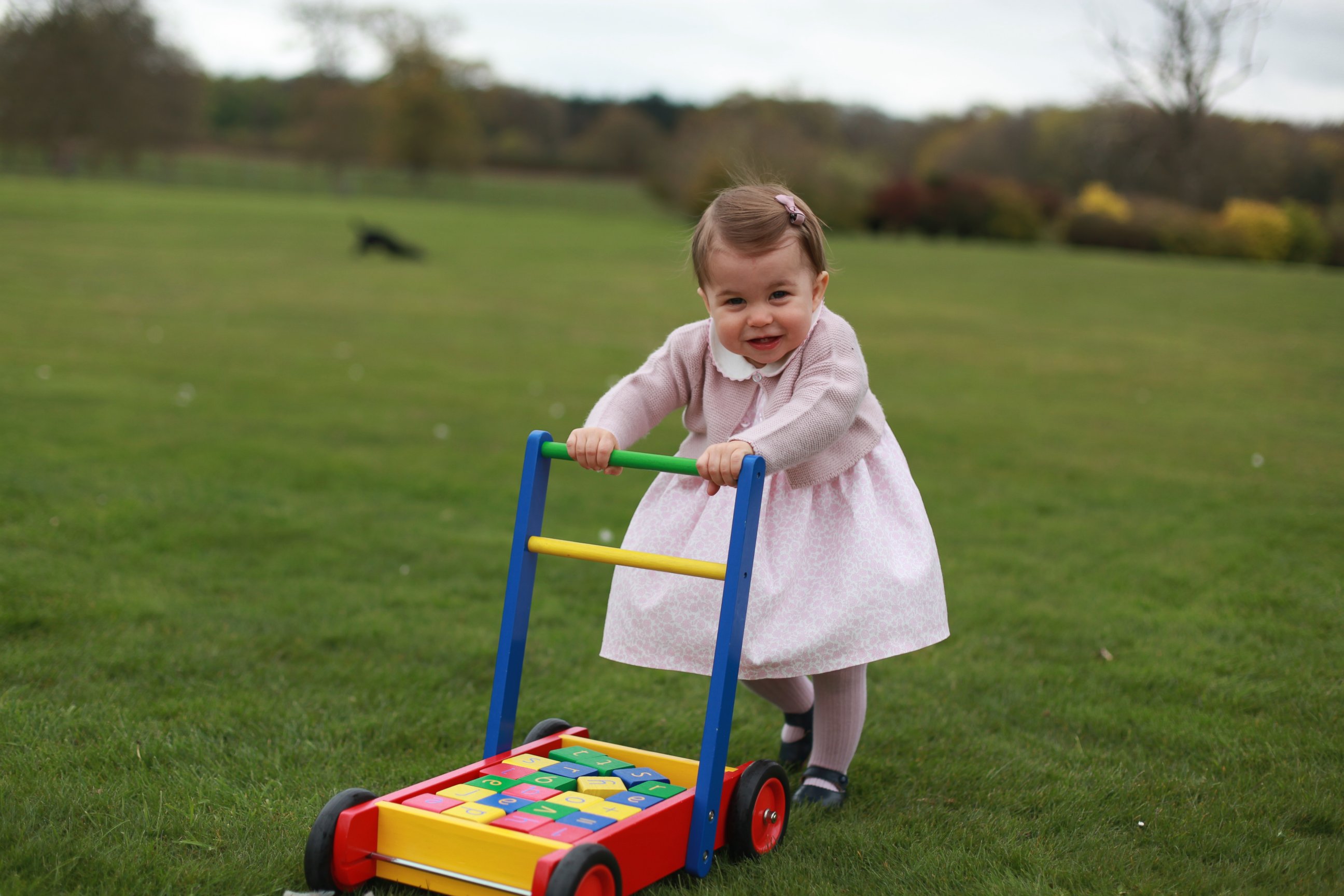 PHOTO: Princess Charlotte poses for a photograph, at Anmer Hall, in Norfolk, England. The princess will celebrate her first birthday on Monday