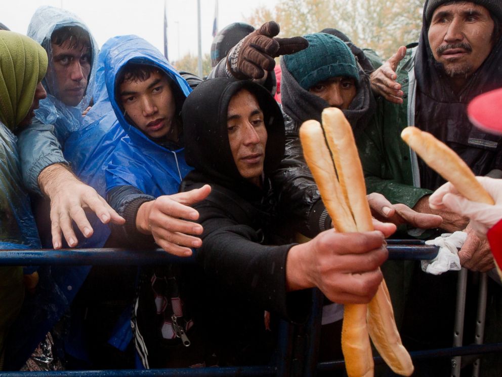 PHOTO: Migrants reach out for bread distributed by volunteers, at a border crossing between Croatia and Slovenia, in Trnovec, Oct. 19, 2015.