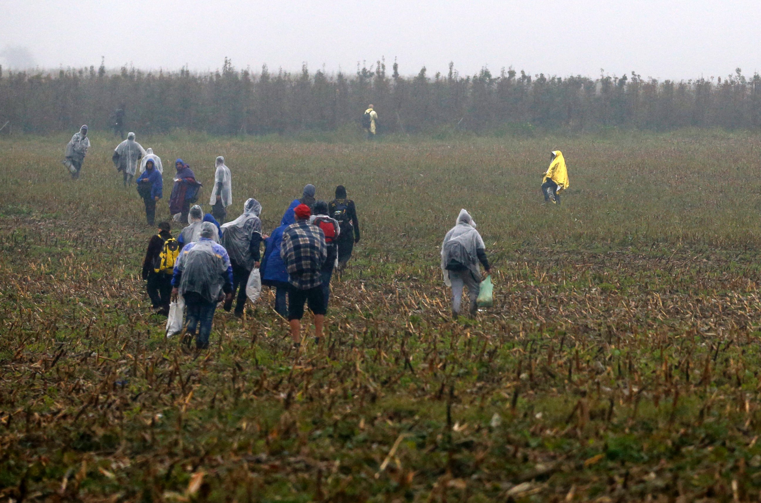 PHOTO: Migrants walk in the field near a border line between Serbia and Croatia, near the village of Babska, Croatia, Oct. 19, 2015.