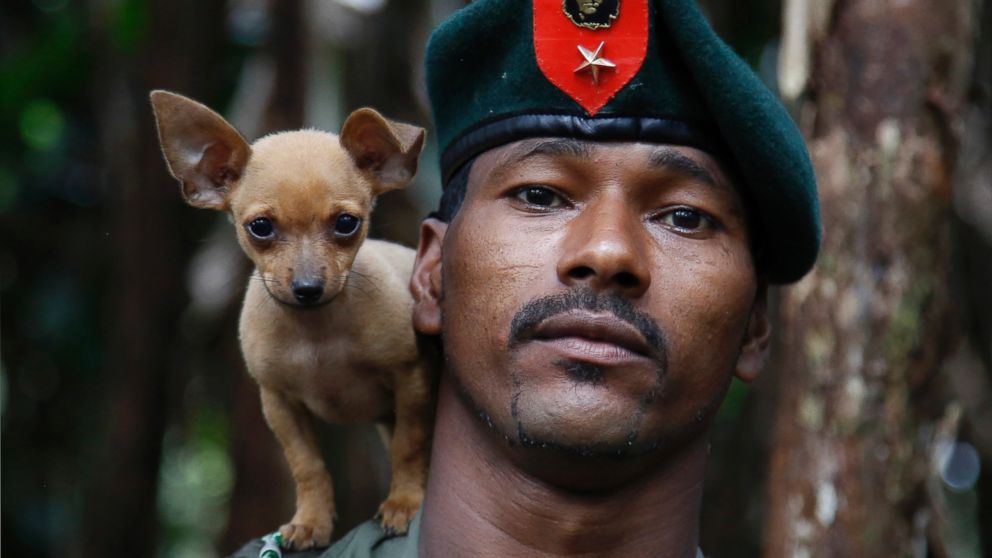 A rebel soldier of the 48th Front of the Revolutionary Armed Forces of Colombia, or FARC, poses for a photo with his dog in the southern jungles of Putumayo, Colombia, Aug. 11, 2016.