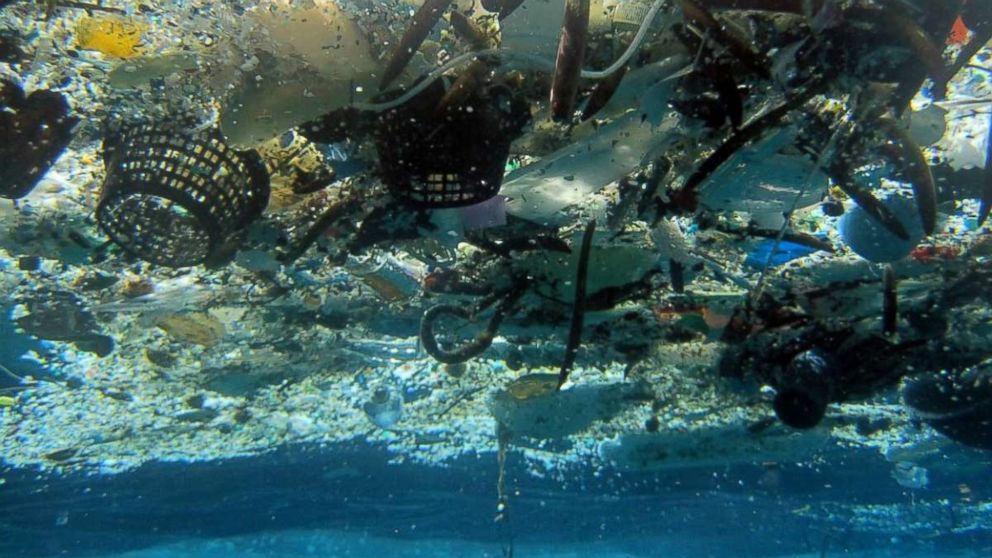 A photo provided by NOAA Pacific Islands Fisheries Science Center shows debris in Hanauma Bay, Hawaii in 2008. A 2014 study estimated nearly 270,000 tons of plastic is floating in the world's oceans.
