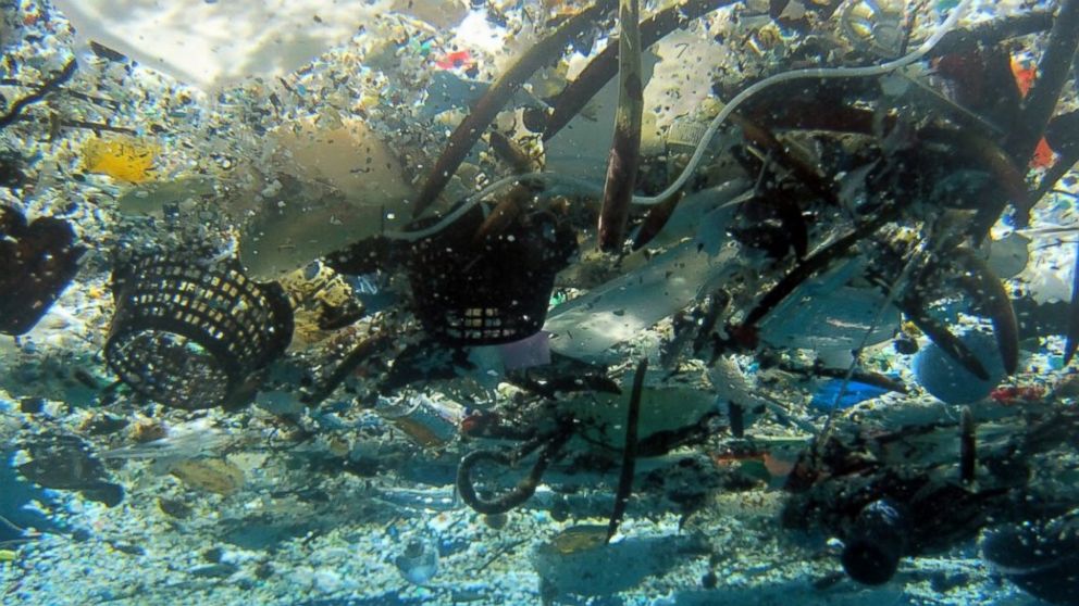 This file 2008 photo provided by NOAA Pacific Islands Fisheries Science Center shows debris in Hanauma Bay, Hawaii. 