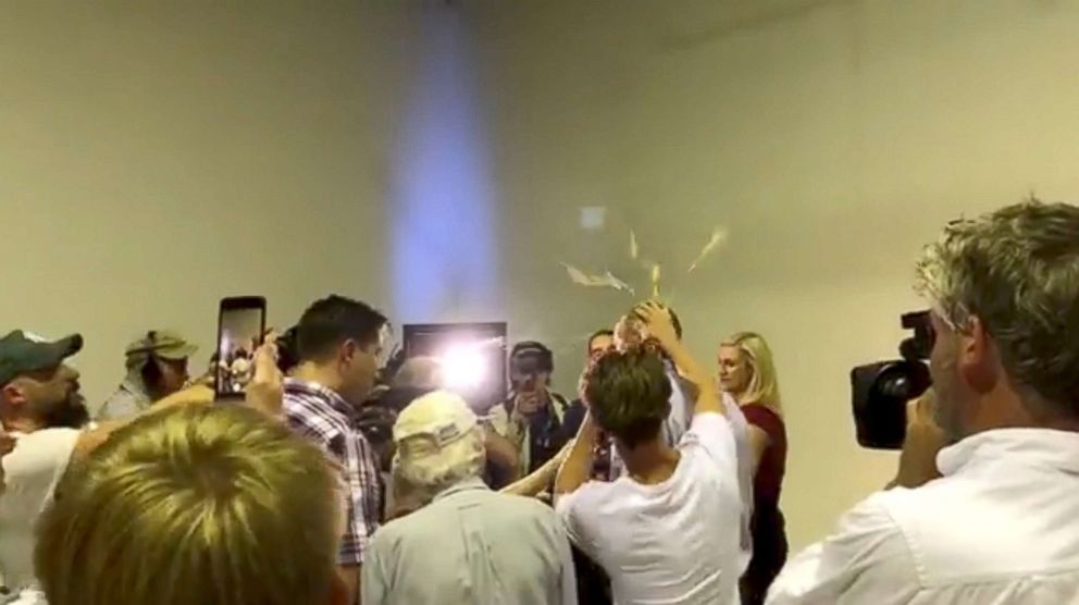 PHOTO: Australian Senator Fraser Anning has an egg smashed on his head while talking to the media in Victoria, Australia, March 16, 2019, in this still image taken from a video obtained from social media.