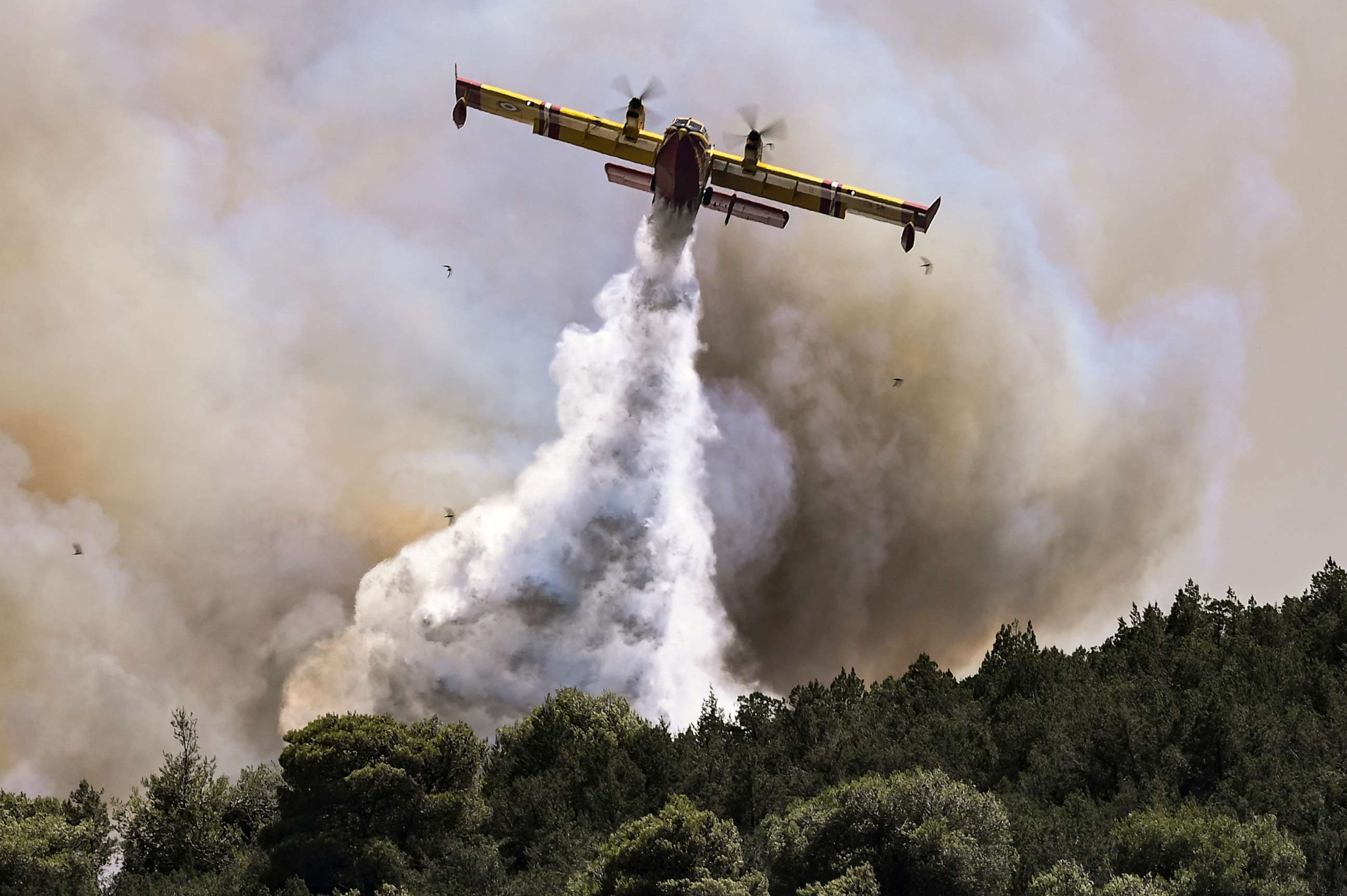 PHOTO: A Canadair firefighting plane sprays water during a fire in Dervenochoria, north-west of Athens, on July 19, 2023.