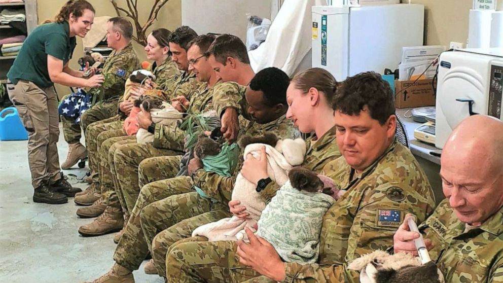 PHOTO: Soldiers for the Australian Army cuddle koalas saved from the bush fires during feeding time at the Cleland Wildlife Park in Crafers, South Australia.