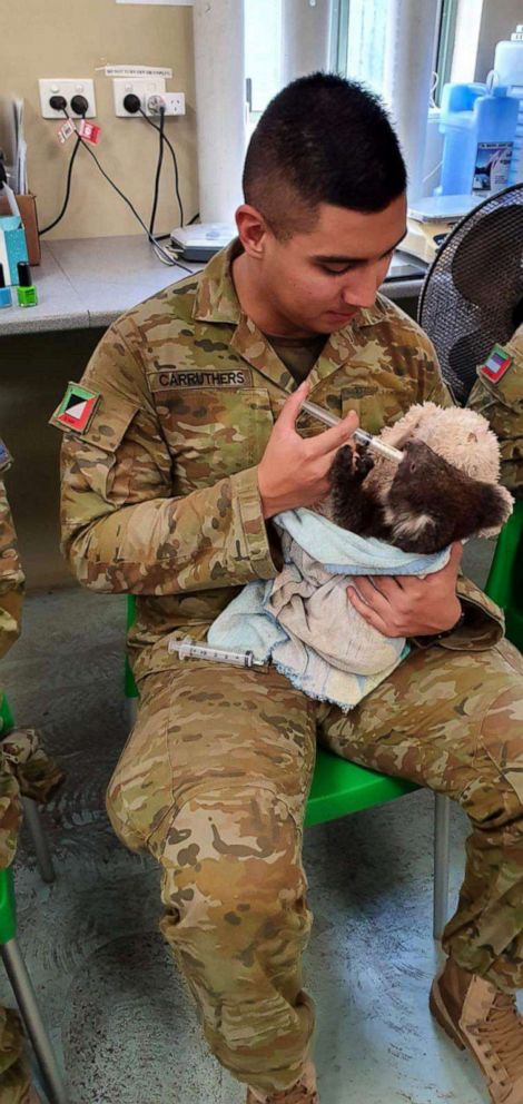 PHOTO: A soldier for the Australian Army cuddles a koala saved from the bush fires during feeding time at the Cleland Wildlife Park in Crafers, South Australia.