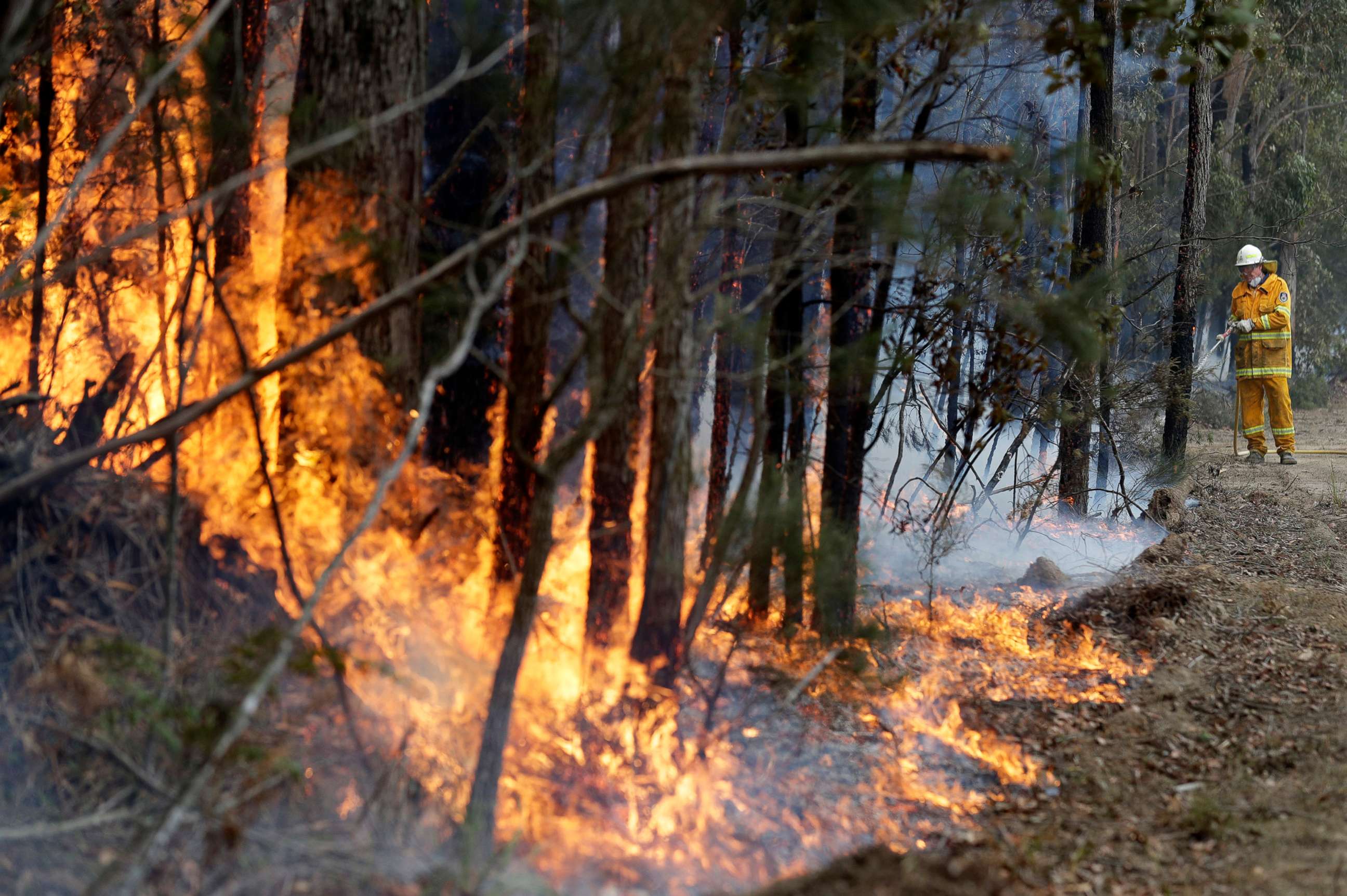 PHOTO:A firefighter manages a controlled burn near Tomerong, Australia, Jan. 8, 2020, set in an effort to contain a larger fire nearby.