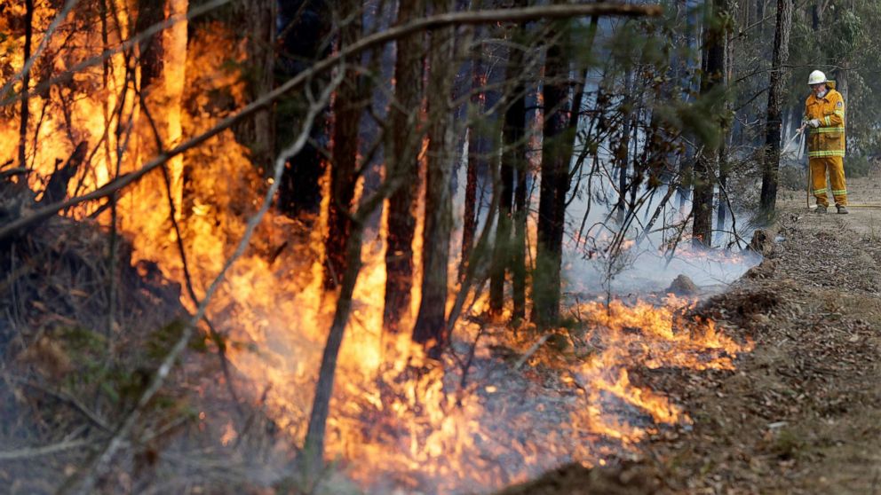 PHOTO:A firefighter manages a controlled burn near Tomerong, Australia, Jan. 8, 2020, set in an effort to contain a larger fire nearby.