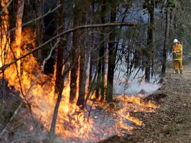 Australia wildfires destroyed nearly 800 homes in 8 days