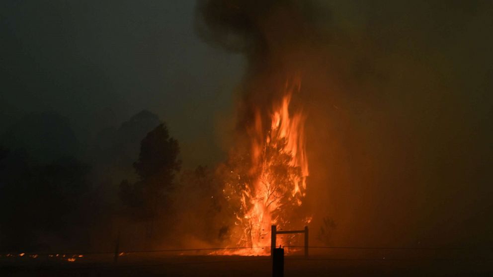 PHOTO: A tree burns on a residential property as bushfires hit the area around the town of Nowra in the Australian state of New South Wales on Dec. 31, 2019.