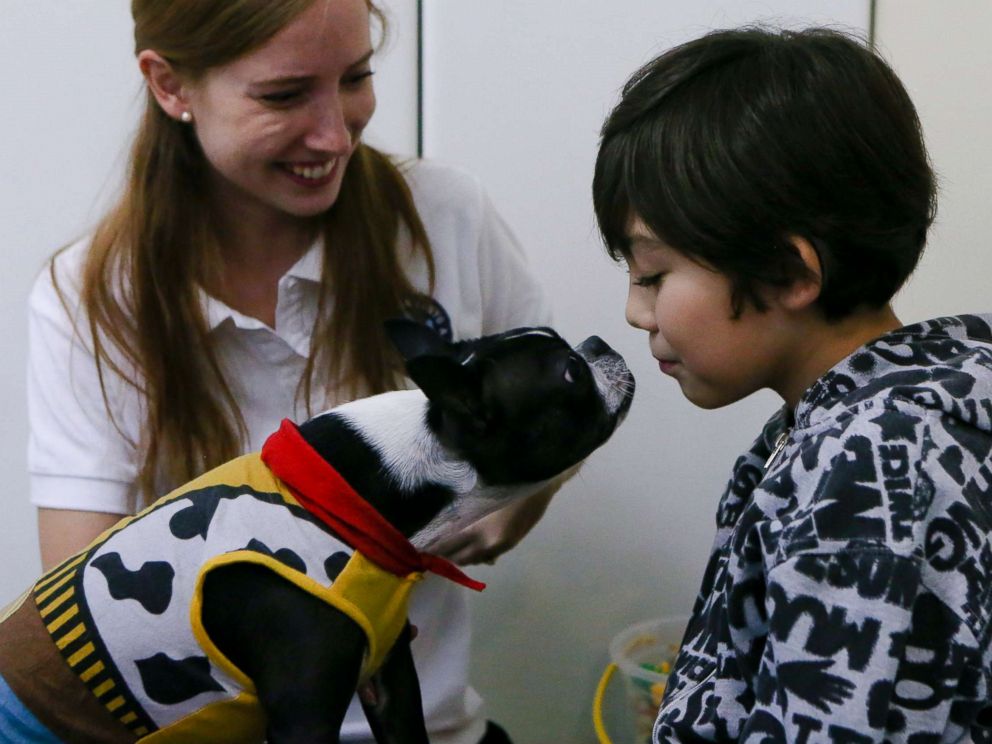Therapy dogs are helping children with autism stay calm at the dentist's  office - ABC News