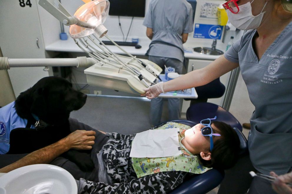 PHOTO: Therapy dog Zucca sits on the lap of 9-year-old Diego Rosales, who is autistic, during his dental visit to the Los Andes University Medical Center on the outskirts of Santiago, Chile, April 28, 2017.
