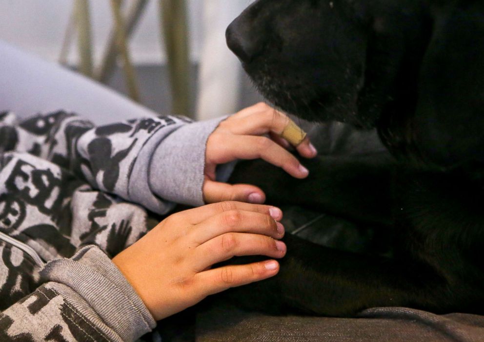 PHOTO: Diego Rosales, who has autism, rests his hands on the paws of therapy dog Zucca during his dental appointment at Los Andes University Medical Center on the outskirts of Santiago, Chile, April 28, 2017.