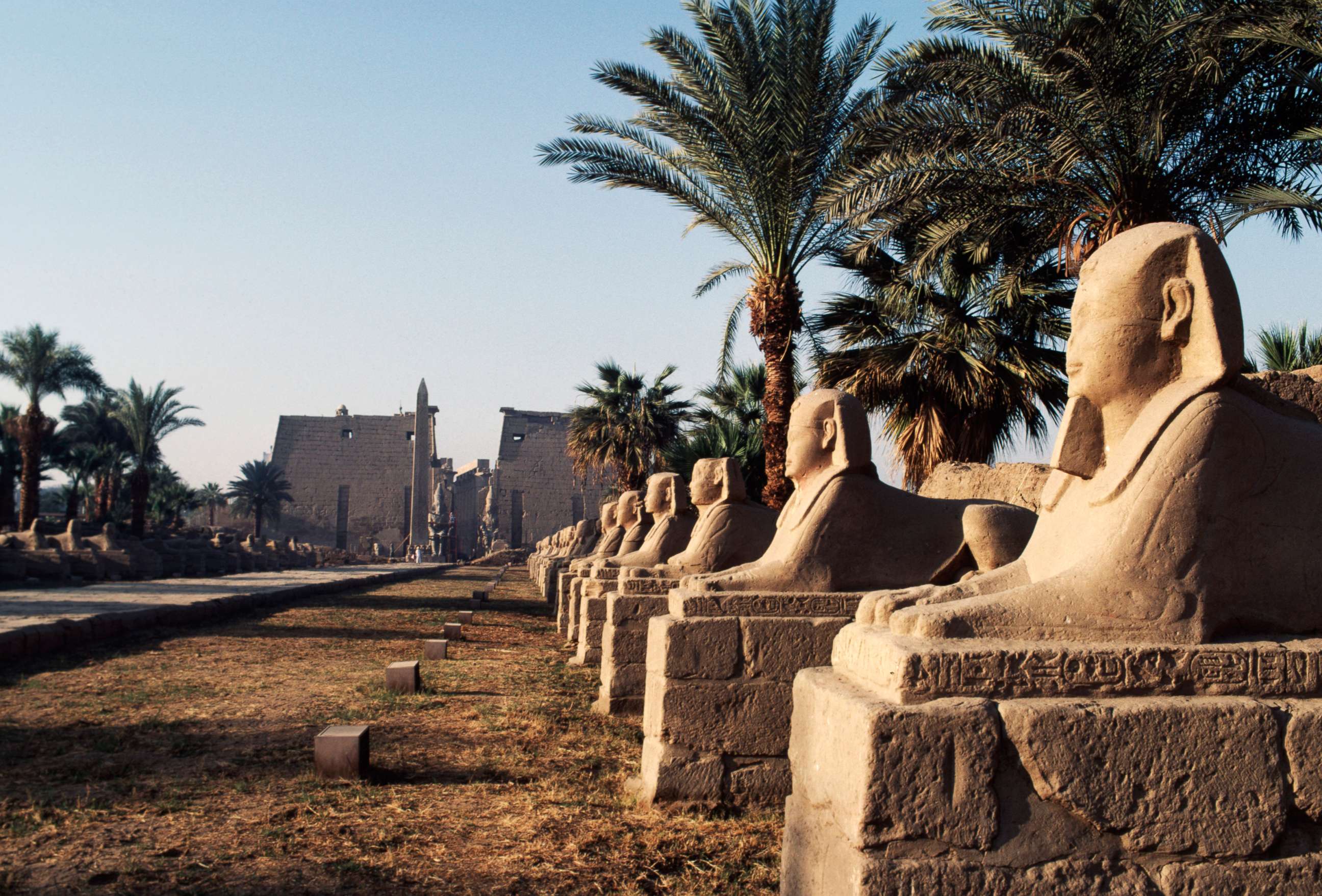 PHOTO: Avenue of Sphinxes, and the Temple of Amun entrance, Luxor, Ancient Thebes, Egypt.