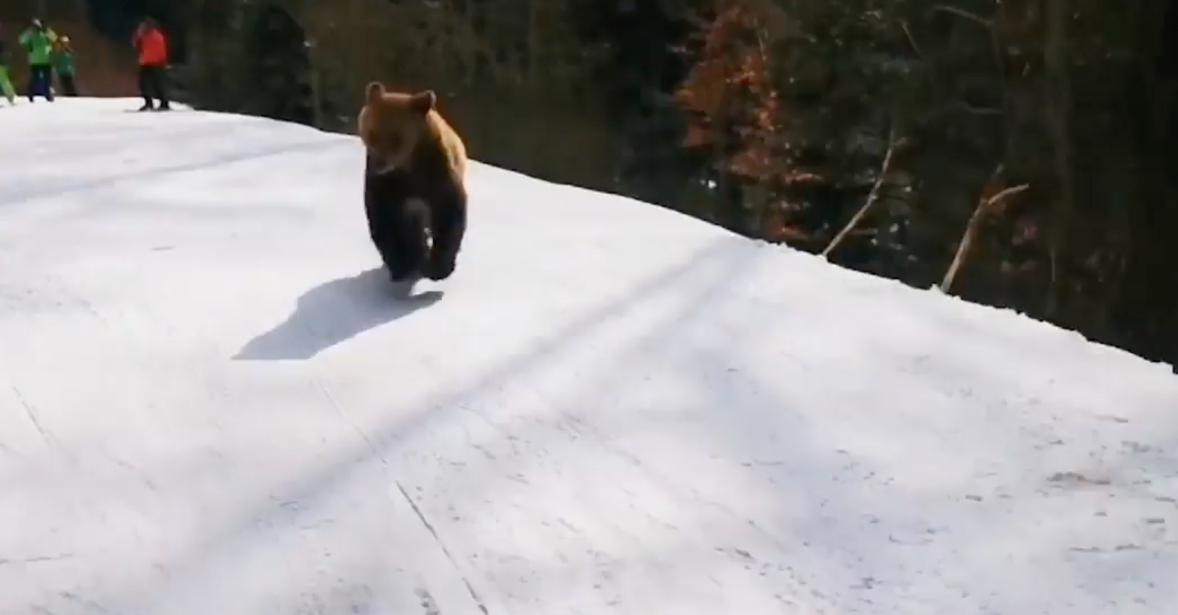 PHOTO: Ski instructor Adrian Stoica was chased by a bear at the Predeal Ski Resort in the Transylvanian mountains in Romania on Tuesday, March 9, 2021.