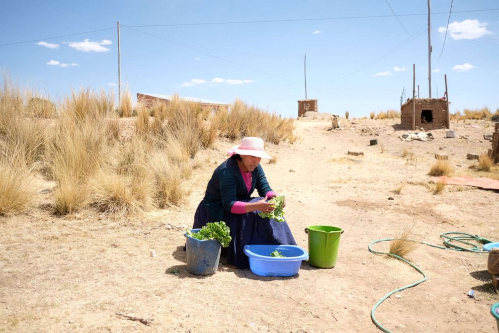 PHOTO: Aymara journalist and media producer Sonia Quispe, 27, washes lettuce on a visit to her hometown in Vilaque, a farmers community located on the outskirts of El Alto, Bolivia August 31, 2019.