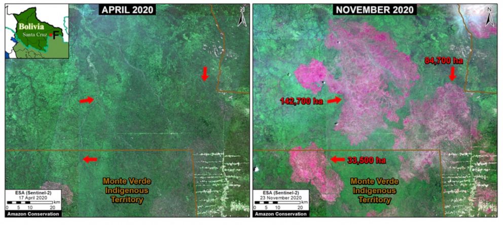 Amazon Rainforest Lost Area The Size Of Israel In Abc News