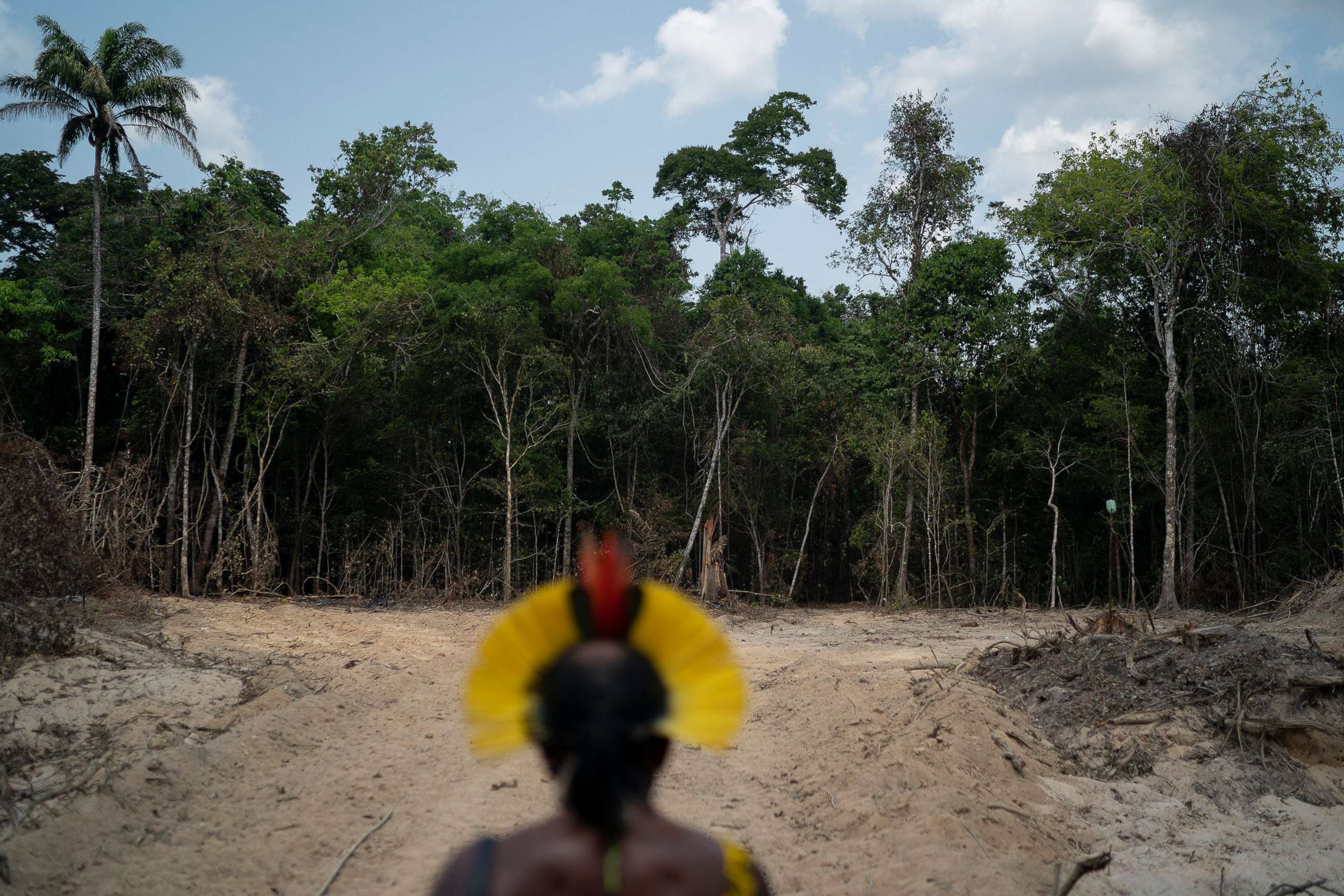 PHOTO: Krimej indigenous Chief Kadjyre Kayapo, of the Kayapo indigenous community, looks out at a path created by loggers on the border between the Biological Reserve Serra do Cachimbo, front, and Menkragnotire indigenous lands, in Brazil, Aug. 31, 2019.
