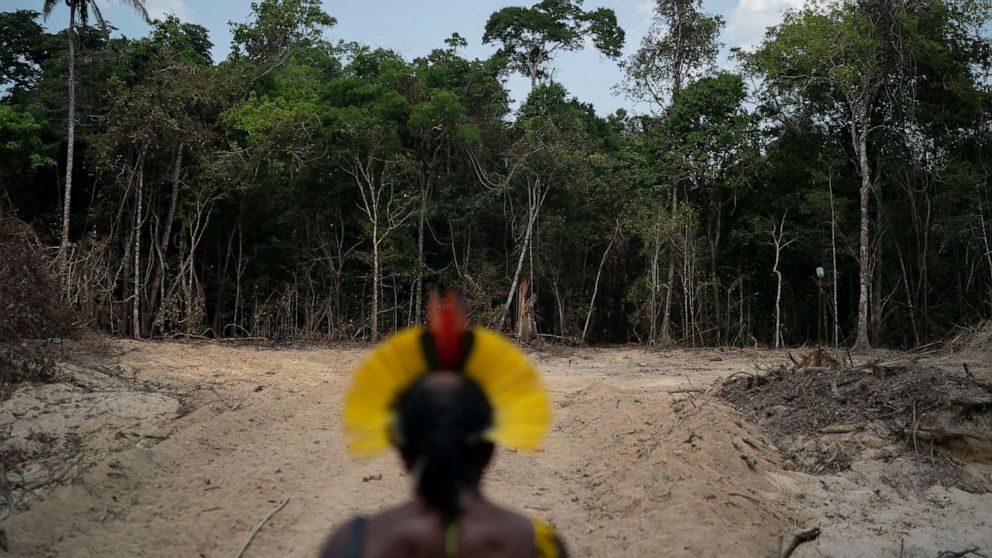PHOTO: Krimej indigenous Chief Kadjyre Kayapo, of the Kayapo indigenous community, looks out at a path created by loggers on the border between the Biological Reserve Serra do Cachimbo, front, and Menkragnotire indigenous lands, in Brazil, Aug. 31, 2019.