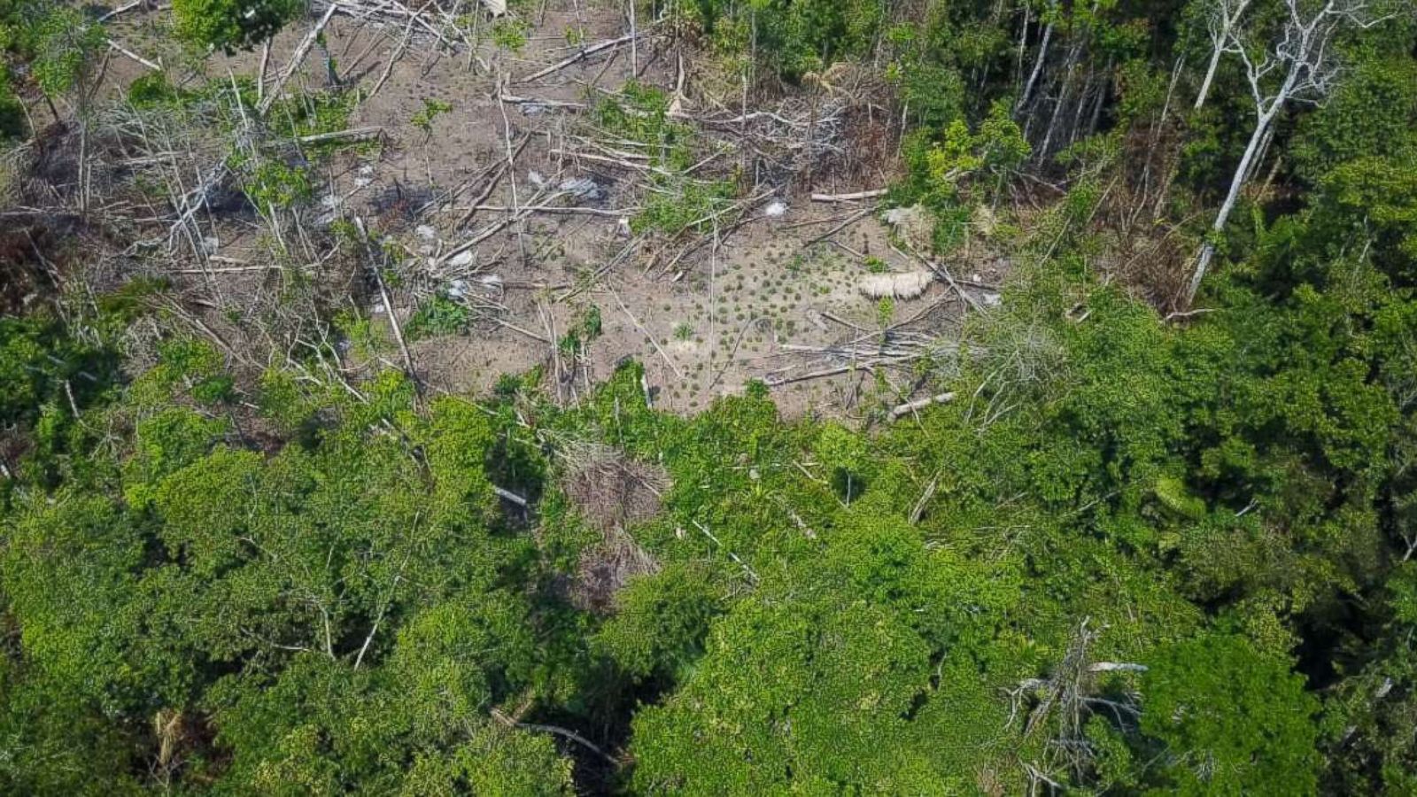 Rare footage of never-before-seen tribe filmed by drone - ABC News