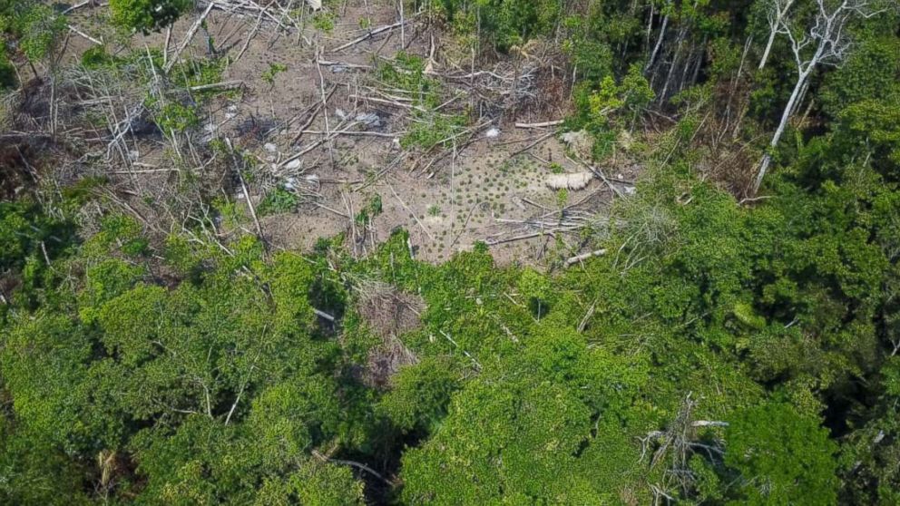 Rare footage of never-before-seen  tribe filmed by drone